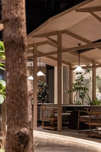 Warm and inviting dining area with wooden tables and chairs, surrounded by potted plants