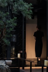 A living area with a dining table, chairs, a potted plant, and a vase, with two women in the scene