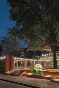 Cozy Asian restaurant dining area with potted plants, chairs, and warm lighting