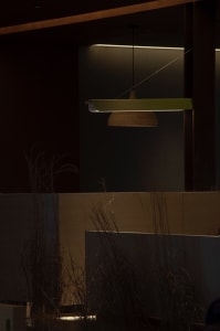 A darkened room with a greenish-lit hanging lamp, plants, and a cozy atmosphere