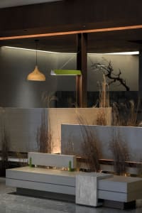 A well-lit room with a bench in the center, a hanging lamp, and plants, creating a comfortable atmosphere