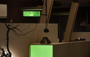Modern living space with green walls, wooden flooring, and a dining table, featuring a minimalist style and a mix of wood and concrete elements