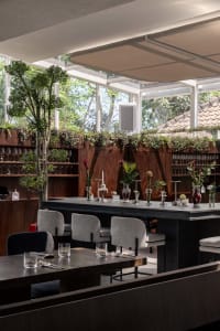 Modern restaurant interior with a large dining table, chairs, potted plants, and soft warm lighting