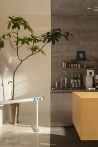 Industrial kitchen with a countertop featuring coffee makers, bottles, and a potted plant in the background