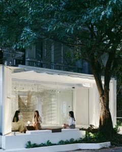 Three women sitting on couches under a tree in a modern living area with clean lines and minimalistic elements