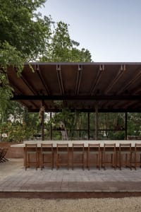 Modern bar area with a countertop, chairs, and potted plants, set in a restaurant with a focus on comfort and ambiance
