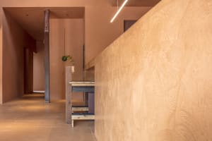 A warm hallway with brown walls, two potted plants, and a residential or commercial setting