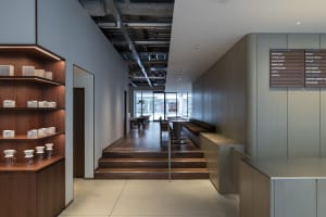 A modern lobby with wooden floors and walls, featuring chairs and a potted plant, with a well-designed atmosphere