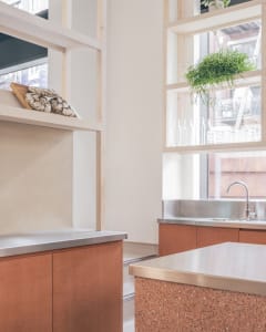 Modern kitchen with wooden cabinets and countertops, featuring a sink and window, with two potted plants adding to the ambiance