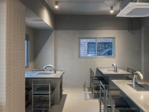 Modern kitchen with dual sinks, a dining table, and chairs, featuring a practical and efficient design