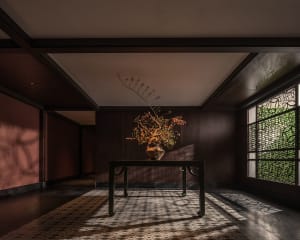 A well-lit interior space with a wooden table, vase of flowers, and potted plants, set against a wooden floor and natural light from a window