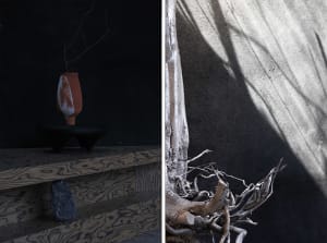 A black and white artistic representation of a tree branch next to a minimalist vase on a wooden table in a calm atmosphere
