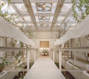 A modern indoor space with a white staircase surrounded by plants and trees, featuring potted plants on the ground and hanging from the ceiling