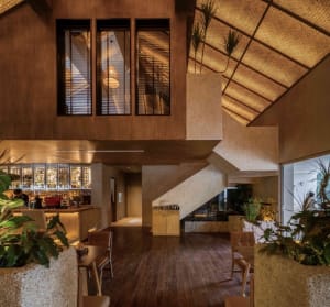 Open living area with a wooden staircase, two chairs, and potted plants, featuring a warm and inviting atmosphere