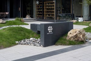 A serene outdoor space with a black stone bench and potted plants surrounding a building