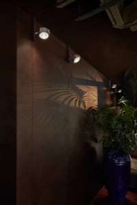 Dimly lit room with a brown wooden panel, palm trees, and a large potted plant