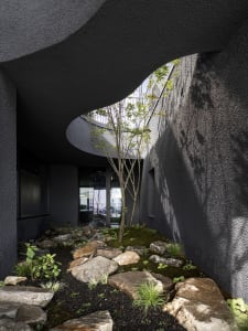 A modern room with a large tree growing through the floor, surrounded by potted plants and gray walls with black accents