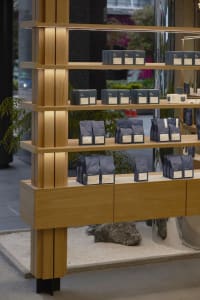 A store display of coffee beans on wooden shelves, arranged for customer exploration and purchase