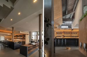 Modern restaurant interior with concrete walls, wooden furniture, and potted plants, featuring a casual and inviting atmosphere