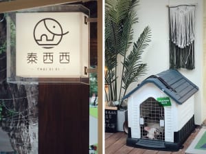 A modern small house with a dog cage and potted plants in a well-lit living space