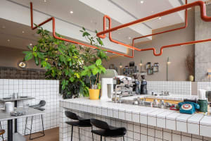 Modern restaurant interior with a kitchen area, countertop bar, dining table, and appliances, featuring a modern and inviting atmosphere