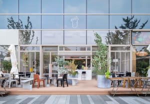 Modern restaurant interior with a large glass wall, wooden elements, and potted plants, featuring a comfortable and inviting atmosphere