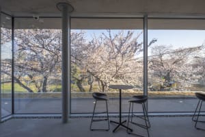 A serene room with two black stools in front of a window showcasing cherry blossoms, creating a calm atmosphere