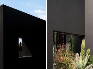 Modern interior design with potted plants and a cactus near a window, featuring clean lines and simplicity