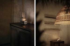 A modern living space with a mix of stone and wood textures, featuring a couch, chair, dining table, vases, and potted plants, with a warm and earthy ambiance