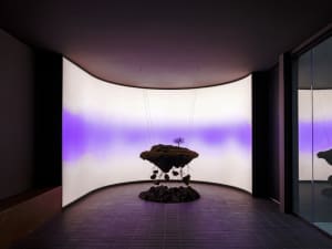 A purple rock tree in a glass bowl sits on a table in a darkened room