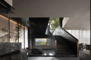 A modern staircase in a contemporary building with black walls, surrounded by two potted plants, creating a balanced and inviting atmosphere