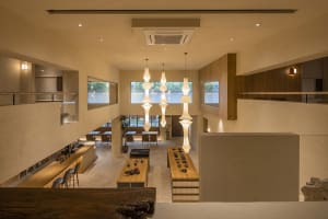 Open living area with a kitchen and dining room featuring wooden floors, cabinets, and a large dining table, surrounded by chairs and potted plants, with a couch and vase adding to the cozy ambiance