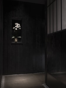 Dark wooden hallway with a vase of flowers on a window sill, surrounded by potted plants and a calm atmosphere
