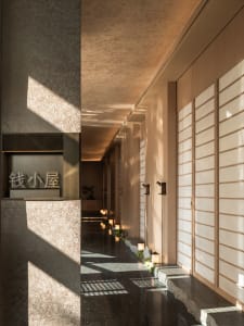 Wooden hallway with potted plants, well-lit and elegant atmosphere