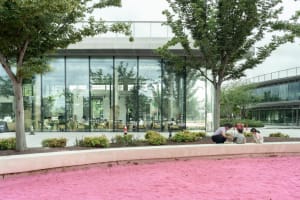 A modern indoor space with large windows, wood, and glass elements, featuring a relaxed and social atmosphere with people sitting and standing