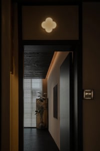 A cozy hallway with a doorway, two framed pictures, a potted plant, and a vase, adding decorative elements to the space