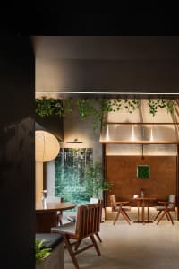 Dimly lit restaurant interior with wooden tables, chairs, and potted plants, featuring vases and a cozy atmosphere