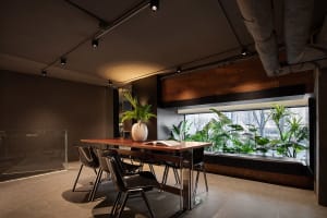 Dining area with a wooden table and chairs, a potted plant, and a book, set in a warm and inviting space