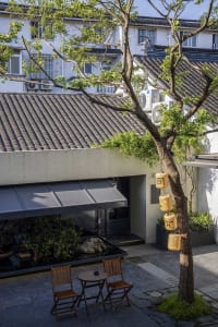 A gray-roofed Asian-style building with a patio area, chairs, and potted plants, blending traditional and modern architecture