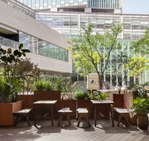 A casual outdoor patio with multiple wooden tables and chairs, perfect for socializing and enjoying meals or conversations