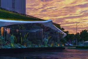 A modern building with a green roof and a large glass wall that allows for natural light to enter the interior, creating a bright and airy atmosphere