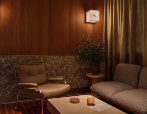 Cozy living area with two couches, chairs, a potted plant, and a decorative vase, creating a warm and inviting atmosphere