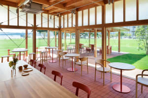 Inviting restaurant interior with dining tables, chairs, and umbrellas providing shade to guests