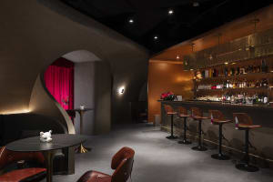 A well-stocked bar area with a long wooden counter and multiple chairs, creating an inviting atmosphere for socializing and enjoying drinks