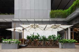 A restaurant patio with tables, chairs, and umbrellas surrounded by potted plants, creating a welcoming atmosphere for outdoor dining