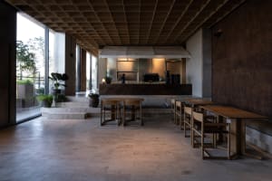 A dining area with a wooden table surrounded by chairs and potted plants, creating a warm and inviting atmosphere