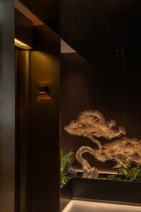 A warm and inviting living space with a large wooden tree sculpture as a centerpiece, placed in front of a doorway