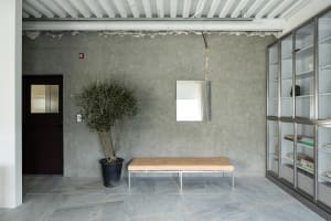 A calm and inviting home office with a wooden bench in front of a mirror, surrounded by two potted plants