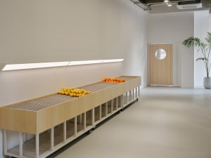 A well-lit kitchen or dining area with a wooden counter displaying various fruits such as apples and oranges
