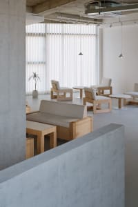 Empty room with a concrete wall, large window, chairs, and a potted plant, creating a calm and minimalistic atmosphere